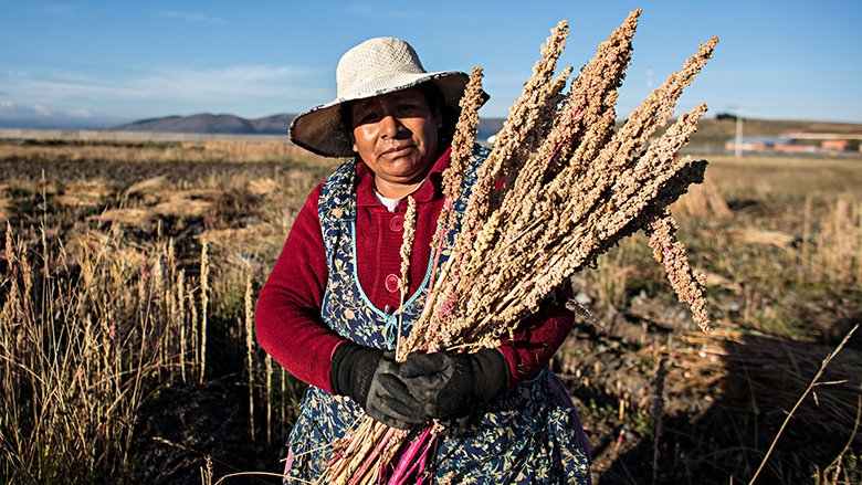 Retrato de mujer campesina con plantas de quinua, región del Lago Titicaca, departamento de La Paz.