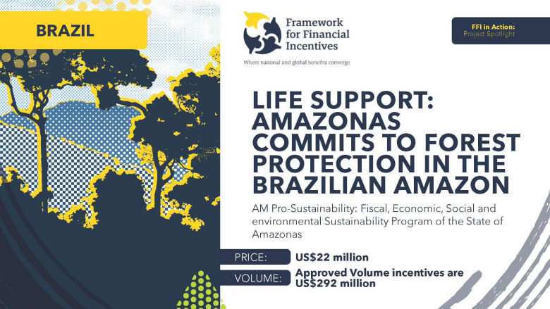 Brazil FFI Project