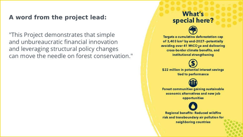Amazonas FFI Project in Brazil