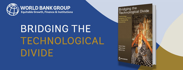 Technology Adoption by Firms in Developing Countries