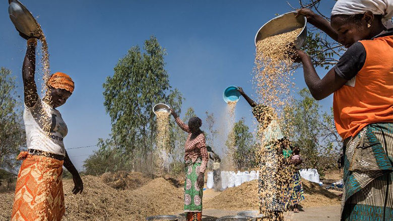 Burkina-Faso-DMF-Feature-Story