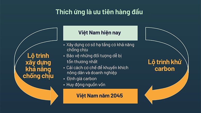 Vietnam CCDR Report