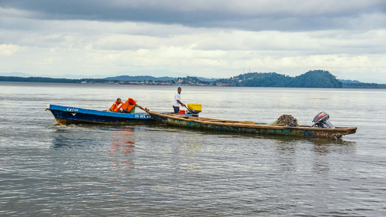 Economic Barometer for the Central African Economic and Monetary Community – Spring 2024