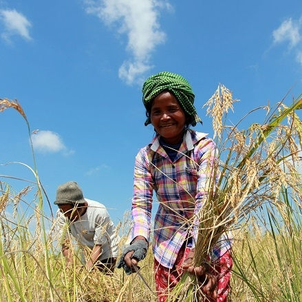 Cambodia Economic Update June 2022