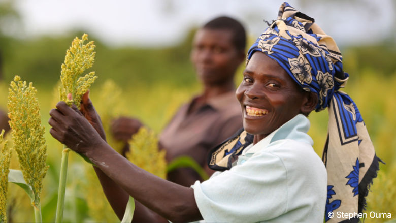 Woman farmer Sahel