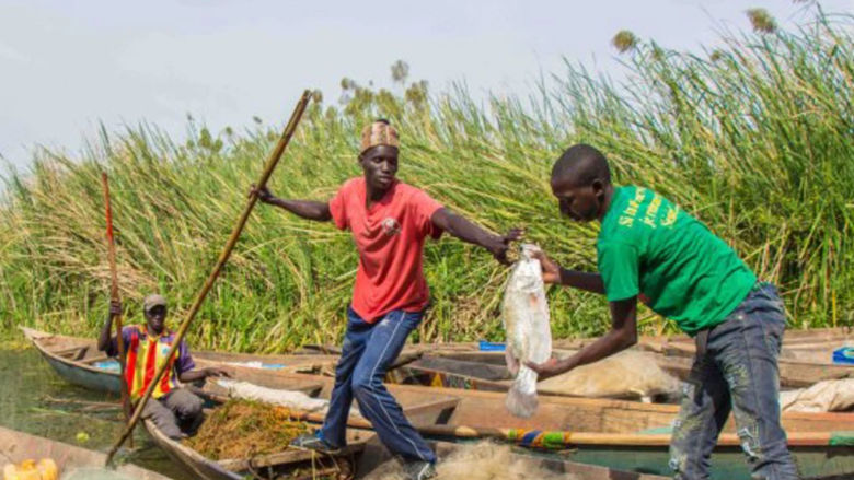 Fishermen on a tributary of the Senegal River, which courses through Guinea, Mali, Mauritania, and Senegal in West Africa