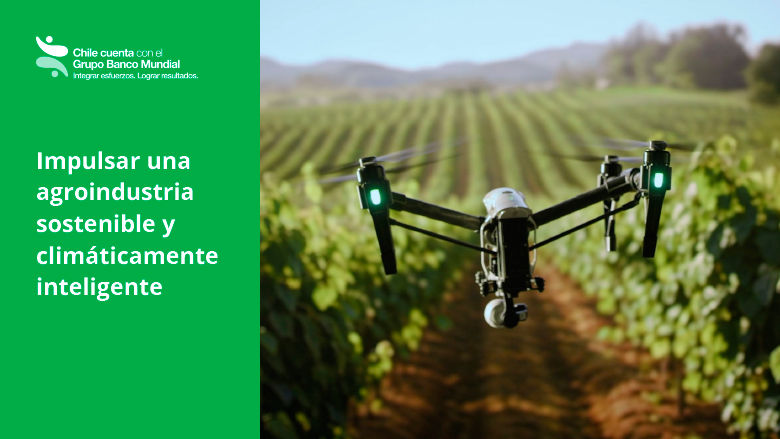 Banner Agroindustria Publicación Notas para el desarrollo: Chile cuenta con el Grupo Banco Mundial