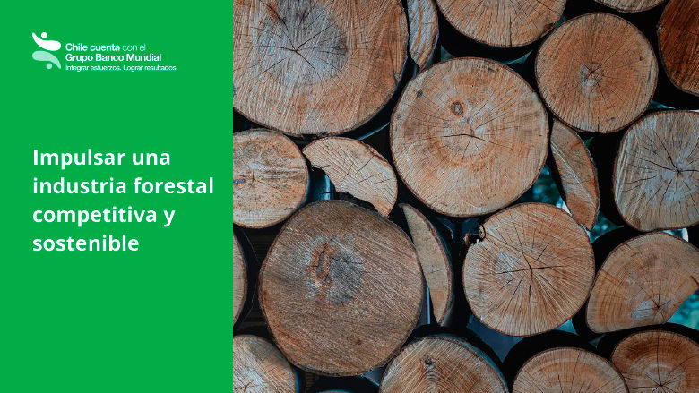 Banner Forestal Publicación Notas para el desarrollo: Chile cuenta con el Grupo Banco Mundial