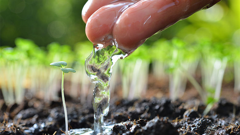 Maestría en Ciencias de la Ingeniería para la Gestión de Recursos Hídricos