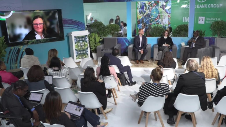 COP29 accountability panelists