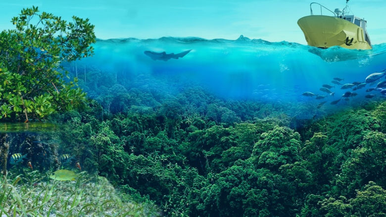 CWON 2024 cover background mangroves, sea, boat, underwater world 