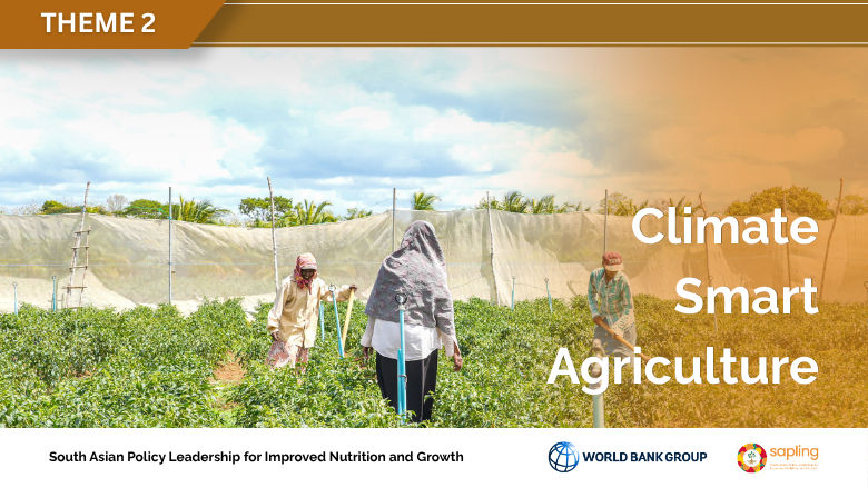 Sapling climate smart agriculture