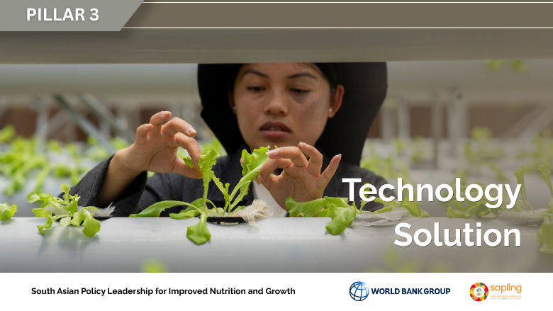 Sapling technology solution