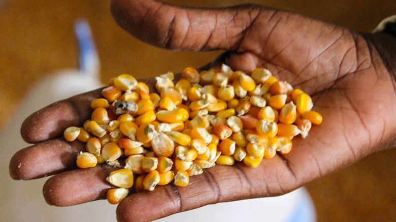 6 things you need to know about Chad's food security crisis