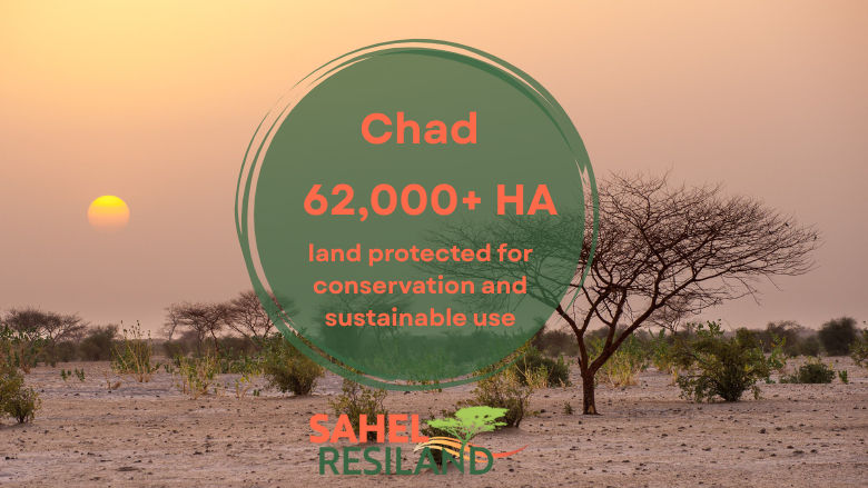 Chad map, Sahel Resiland, World Bank, West Africa
