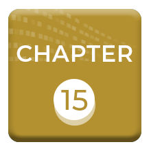 Chapter 15. Government Analytics Using Administrative Case Data