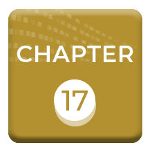 Chapter 17. Government Analytics Using Data on Task and Project Completion