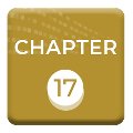 Chapter 17. Government Analytics Using Data on Task and Project Completion