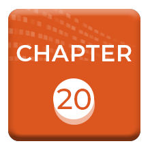 Chapter 20. Determining Sample Sizes