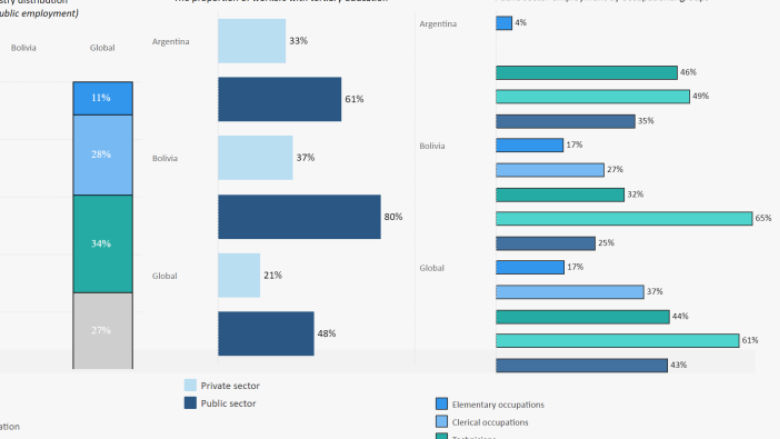 Characteristics of public sector workforce WBI dashboard