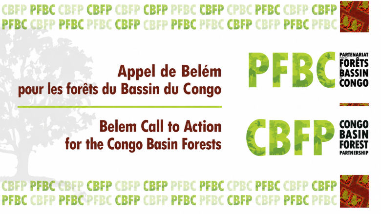 Congo Basin Forest Economies Program, World Bank, Belem declaration , The Congo Basin forests are of exceptional importance a