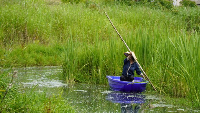 China-WBG GKC Image 1