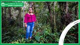 Iliana Jimenez, Community Leader and Forest Custodian, stands in the middle of a vibrant forest in Costa Rica.