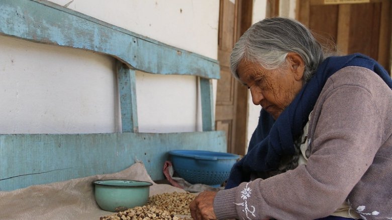 Mujer agriultora limpiando el café