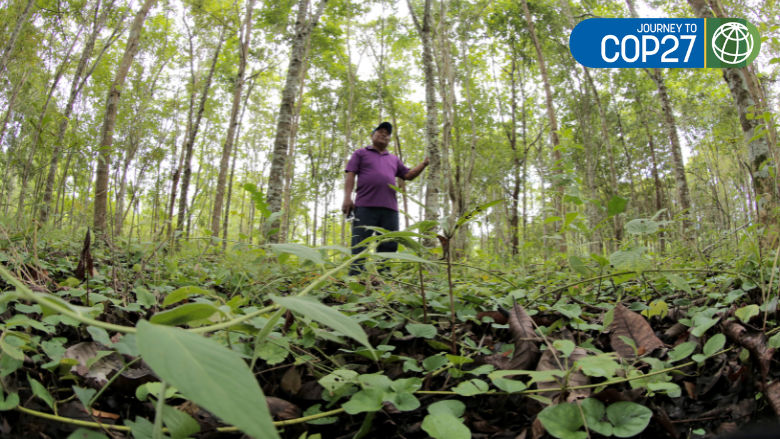 Man standing in the middle of the forest in the Indigenous community of Ipeti-Emberá, Panama
