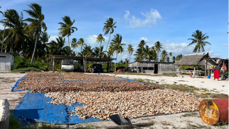 Copra in Kiribati