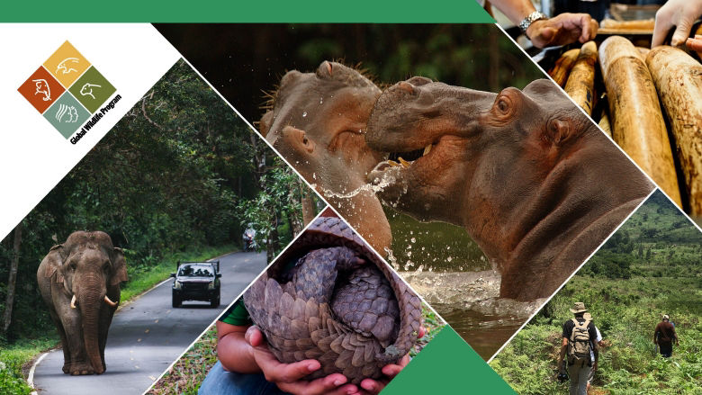 GWP wildlife behavior change