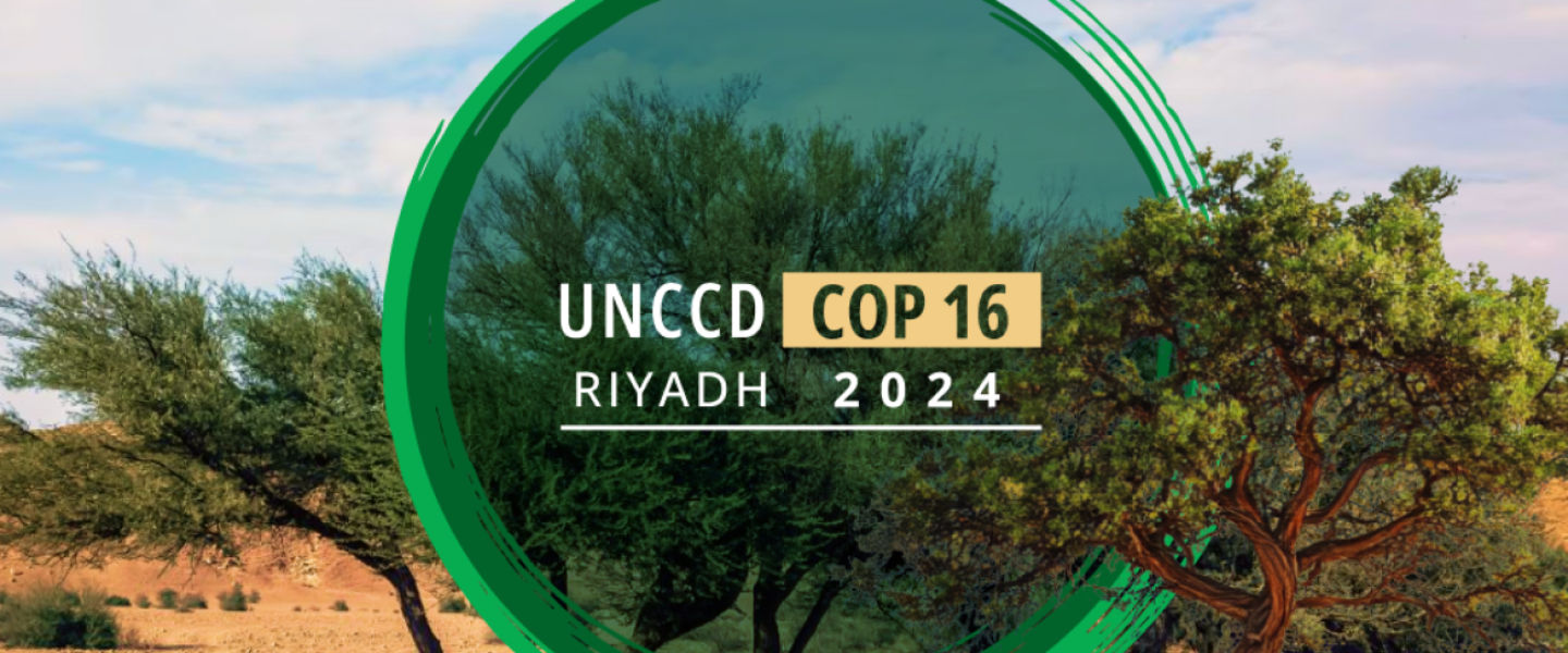 COP16 cover image Desertification COP