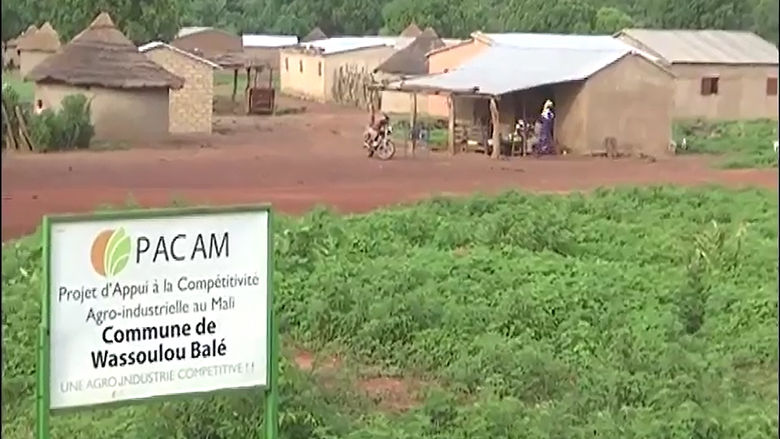 Creating Markets for Smallholder Farmers in Mali