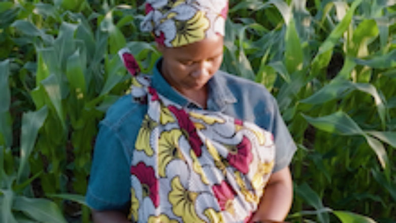 Woman holding a tablet while among crops in a field