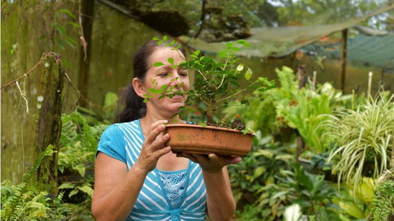 Costa Rican woman holding a plant. Photo Credit: FONAFIFO