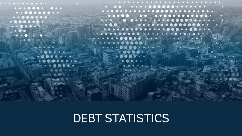 Debt Statistics program image
