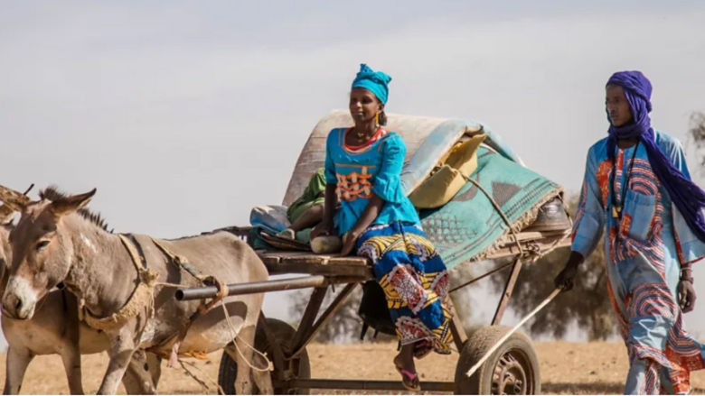 Sahelian nomads on their donkeys