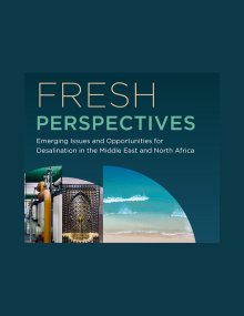 desalination in MENA