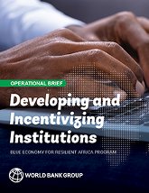 Developing and Incentivizing Institutions Operational Brief Cover 