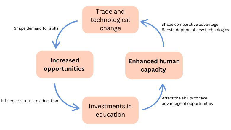 Drivers of Capacities and Opportunities