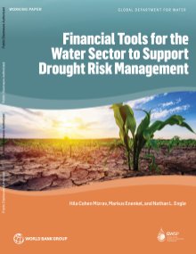 financial tools for the water sector report