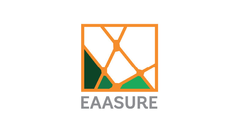EAASURE logo