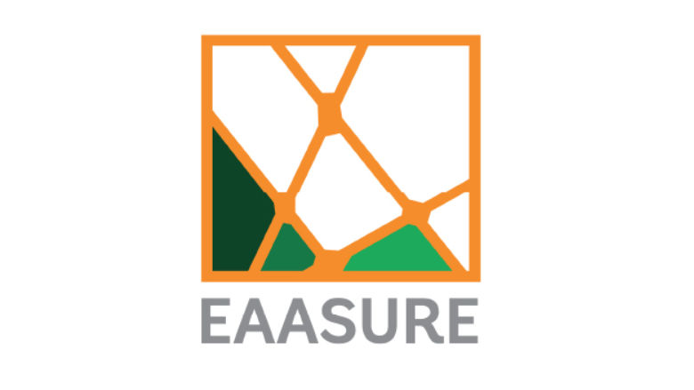 EAASURE logo