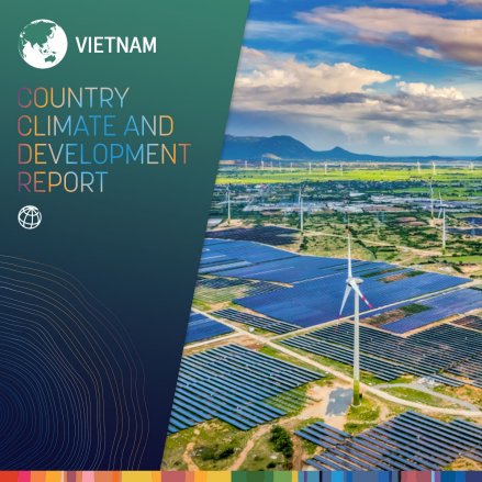 Vietnam CCDR Report