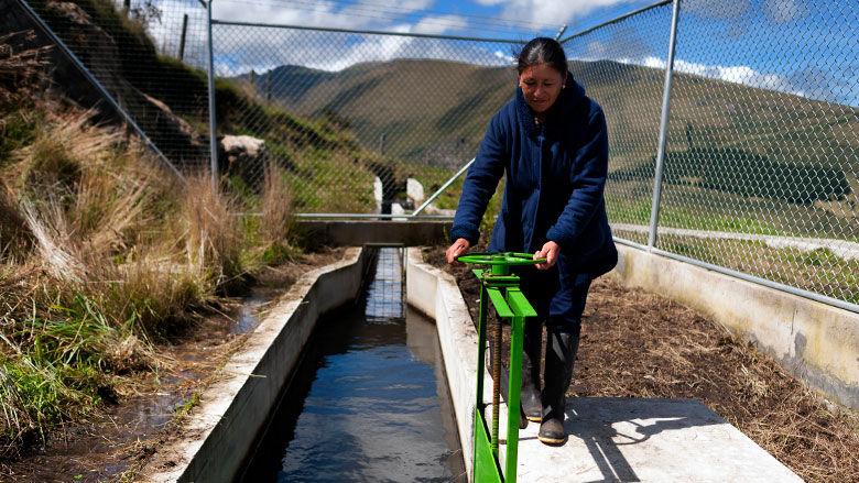 Comunera de Pifo cerrando manualmente canal de agua y/o regadío, un recurso escaso. De fondo montañas y campos verdes.