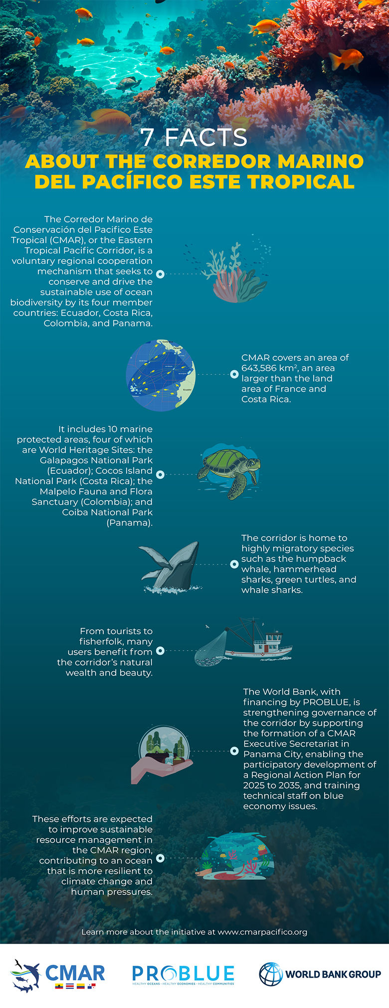 7 facts about the Tropical Eastern Pacific Marine Corridor