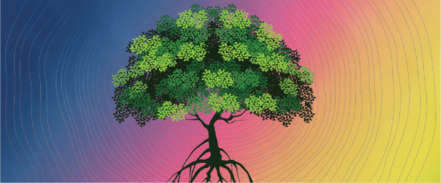 a graphic of a tree with roots and a rainbow background 