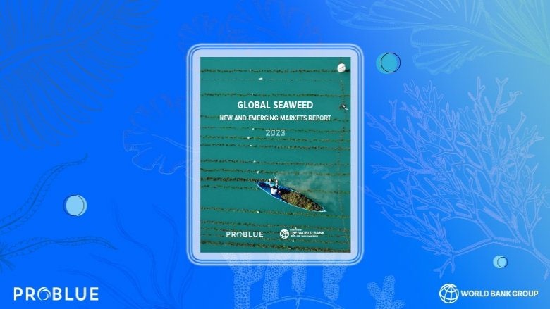 Global Seaweed Markets Report