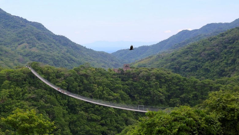 Bosque mexicano en el que se practica ecoturismo 