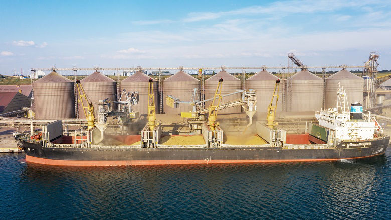 Loading grain into holds of sea cargo vessel through an automatic line in seaport from silos of grain storage.